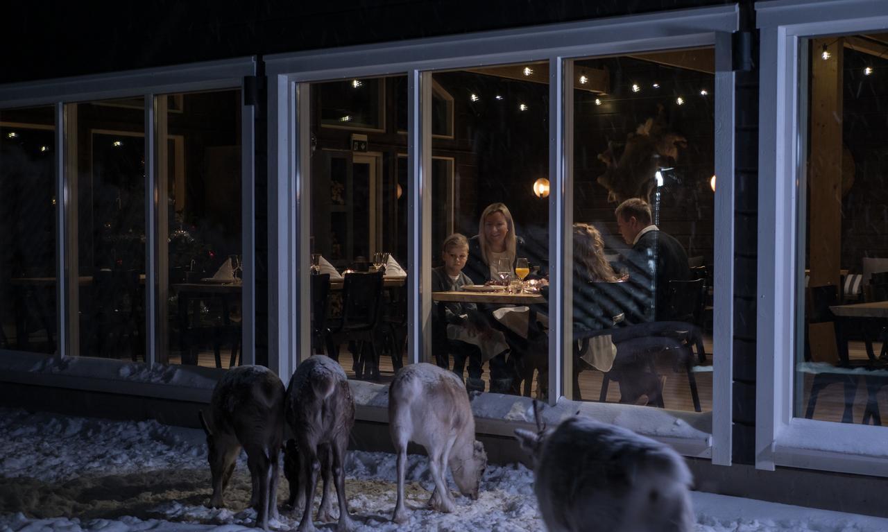 Northern Lights Ranch Levi Εξωτερικό φωτογραφία